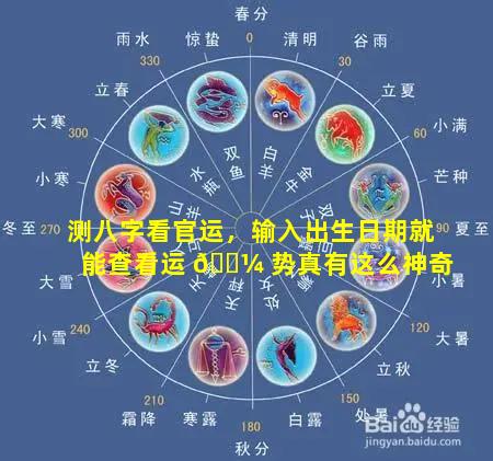 测八字看官运，输入出生日期就能查看运 🐼 势真有这么神奇